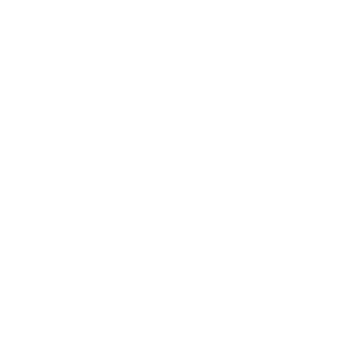 Ceramic Coating