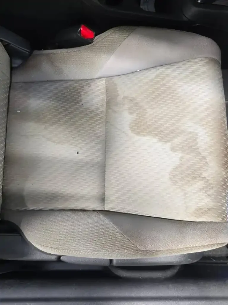 seat dirty