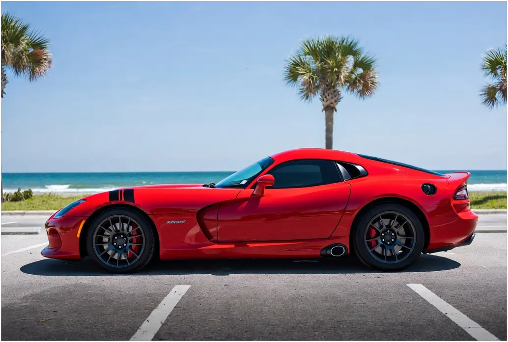 Viper at Beach