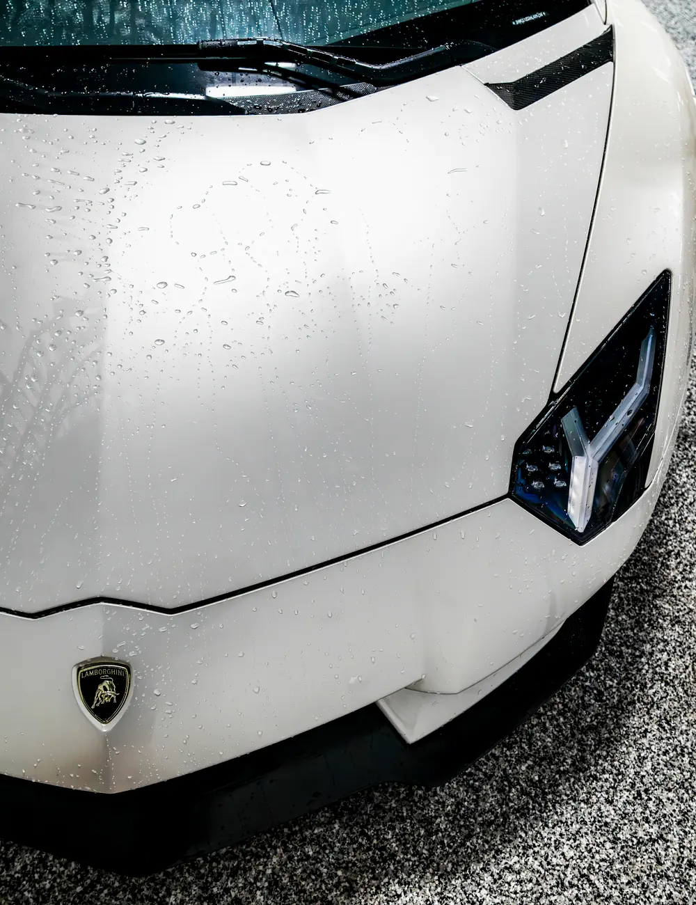 Water beading on a freshly coated Lamborghini hood