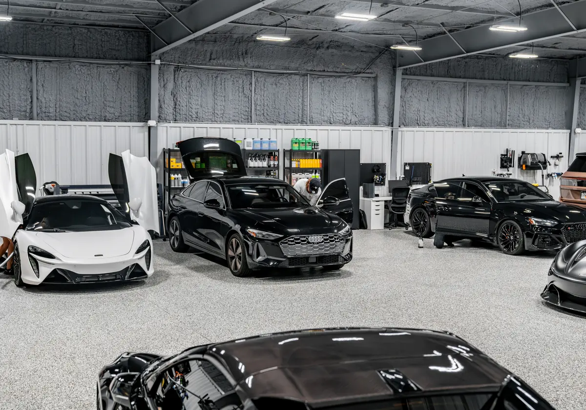 Dark exotics lined up under the bay lighting