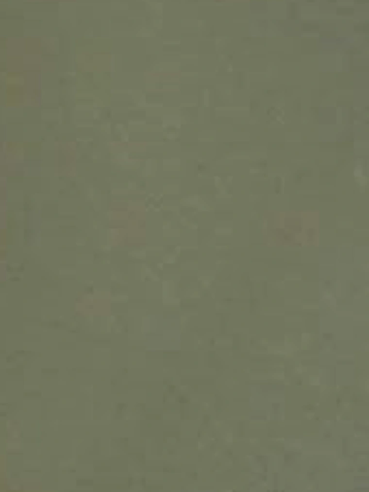 XPEL Moss Green color paint protection film, gloss finish, sample card
